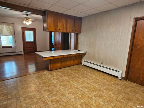 Tiny photo for 127 N VAIL Street, Geneseo, IL 61254 (MLS # QC4267067)