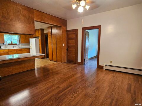 Tiny photo for 127 N VAIL Street, Geneseo, IL 61254 (MLS # QC4267067)