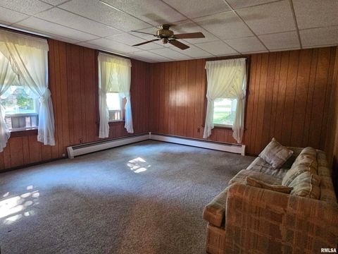 Tiny photo for 127 N VAIL Street, Geneseo, IL 61254 (MLS # QC4267067)