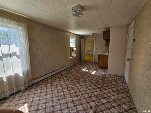 Tiny photo for 127 N VAIL Street, Geneseo, IL 61254 (MLS # QC4267067)