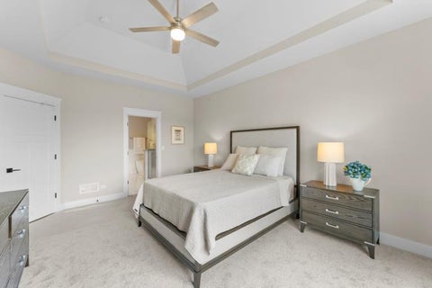 Tiny photo for 8803 WILLOW Lane #MODEL, Mokena, IL 60448 (MLS # 12788150)