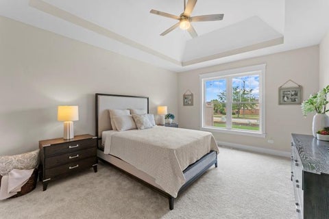 Tiny photo for 8803 WILLOW Lane #MODEL, Mokena, IL 60448 (MLS # 12788150)
