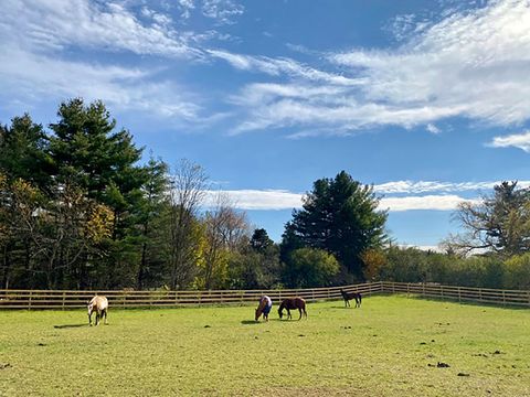 Tiny photo for 708 S Rose Farm Road, Woodstock, IL 60098 (MLS # 12488492)