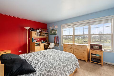 Tiny photo for 809 Magnuson Court, Barrington, IL 60010 (MLS # 12482606)