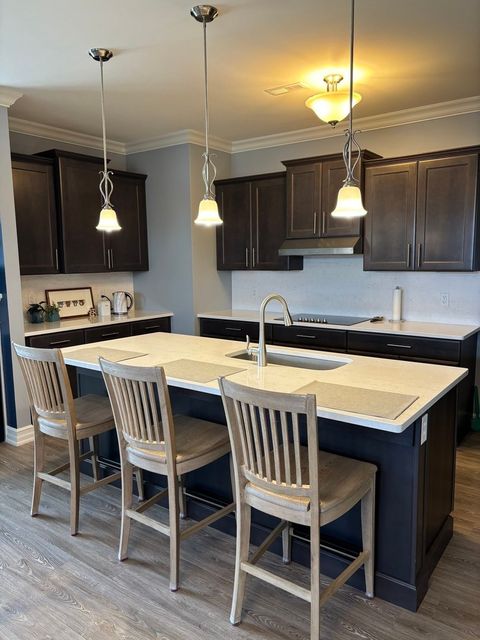 Tiny photo for 408 Stearn Drive #408, Genoa, IL 60135 (MLS # 12619647)