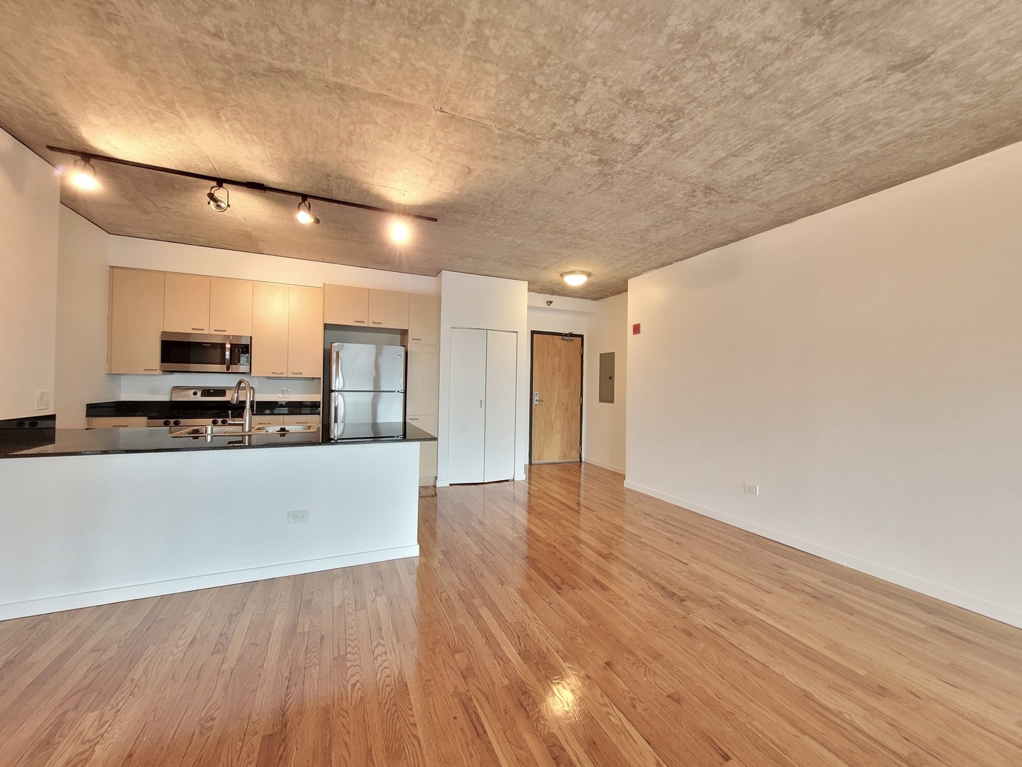 1845 S Michigan Avenue 1009
