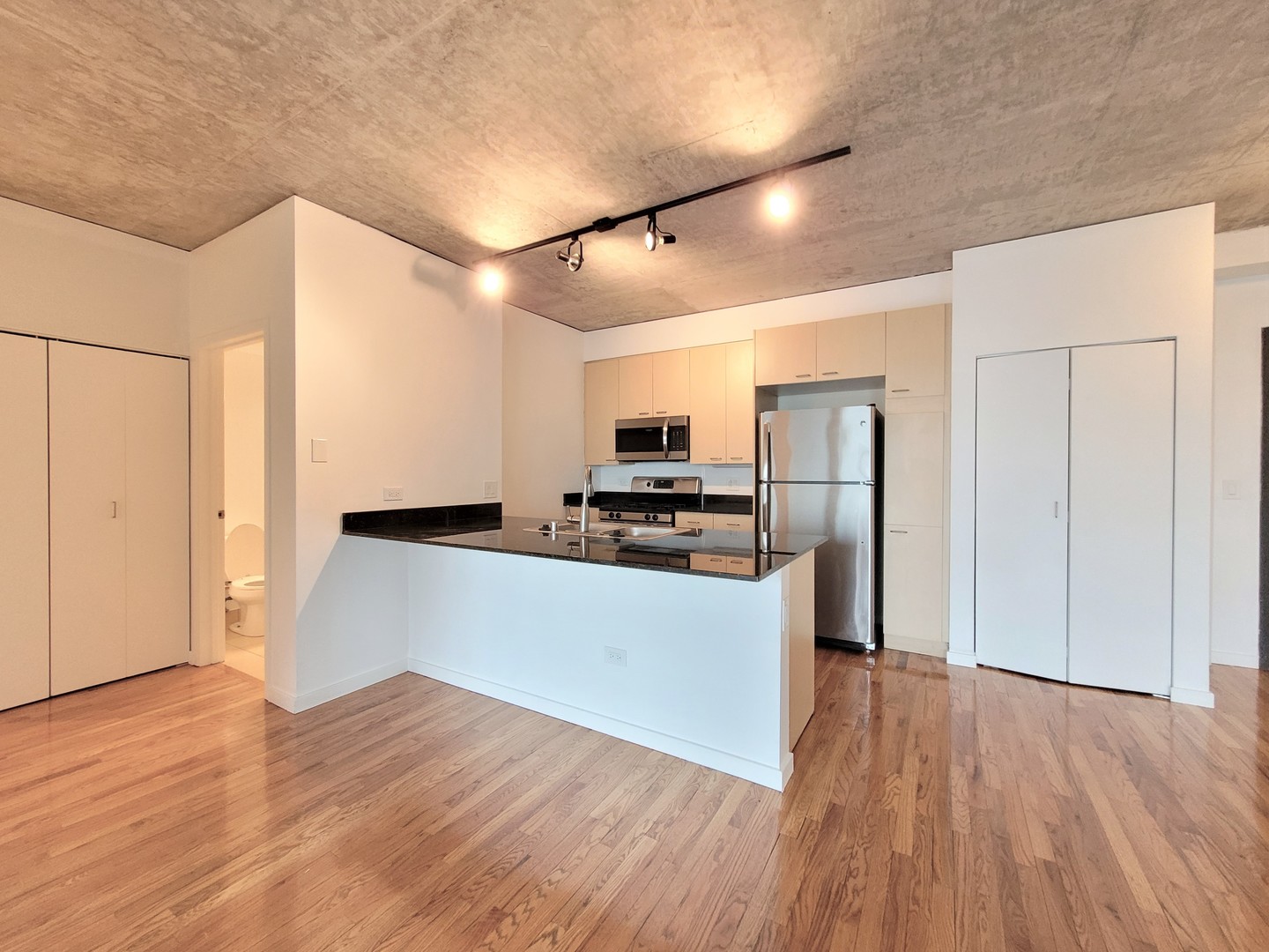 1845 S Michigan Avenue 1009