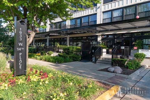 Photo of 1033 W 14TH Place #318, Chicago, IL 60608 (MLS # 12694455)