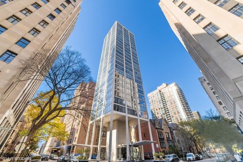 1300 N Astor Street 15AB Chicago IL 60610