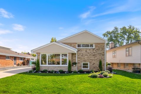 1025 N KNIGHT Avenue Park Ridge IL 60068