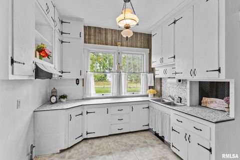 Tiny photo for 217 40TH Street, Moline, IL 61265 (MLS # QC4268019)