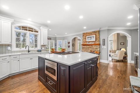 Tiny photo for 119 Settlers Drive, Naperville, IL 60565 (MLS # 12612278)