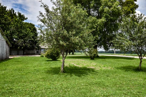 Tiny photo for 23451 N 1700 East Rd RD, Odell, IL 60460 (MLS # 12684599)