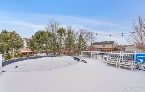 Tiny photo for 2445 Peregrine Drive, New Lenox, IL 60451 (MLS # 12556836)