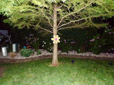 Tiny photo for 2445 Peregrine Drive, New Lenox, IL 60451 (MLS # 12556836)