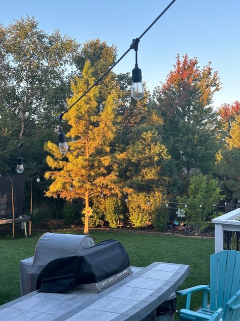 Tiny photo for 2445 Peregrine Drive, New Lenox, IL 60451 (MLS # 12556836)