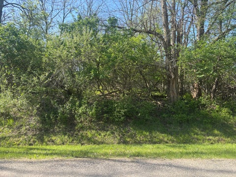 MLS: 12625104