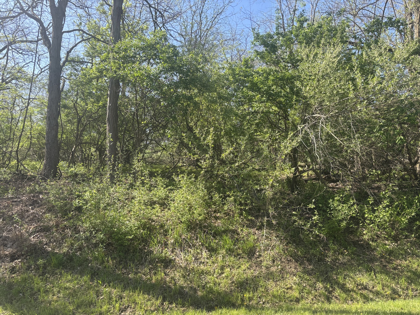 530 Rollingwood Place