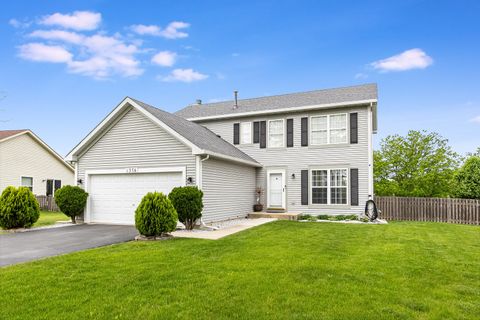 1376 DAHLGREN Lane Minooka IL 60447