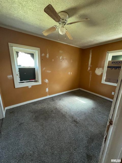 Tiny photo for 734 N DIVISION Street, Duquoin, IL 62832 (MLS # EB457372)