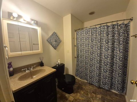 Tiny photo for 1116 S Land Street, Harrisburg, IL 62946 (MLS # EB460081)