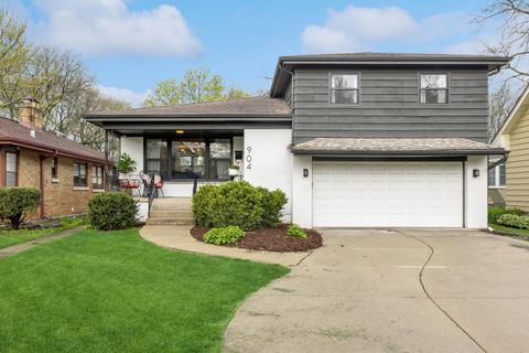 904 Florence Drive Park Ridge IL 60068