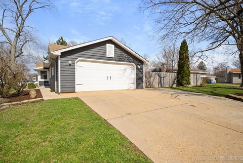 Tiny photo for 101 Hickory Drive, Carpentersville, IL 60110 (MLS # 12611234)
