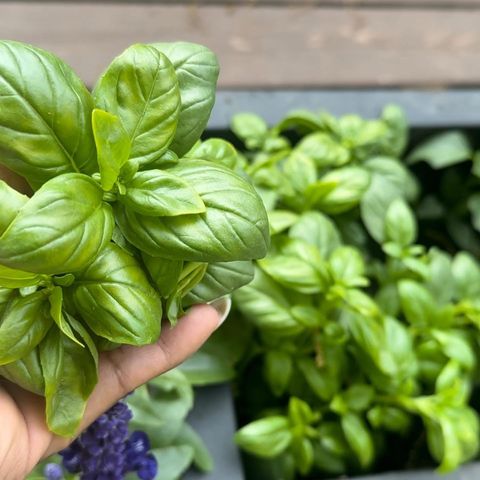 Tiny photo for 129 Cornwall Drive, Crete, IL 60417 (MLS # 12526181)