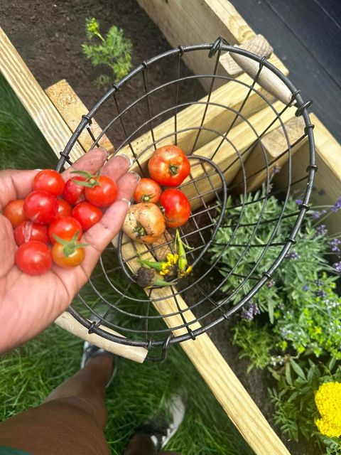 Tiny photo for 129 Cornwall Drive, Crete, IL 60417 (MLS # 12526181)