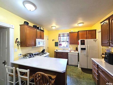 Tiny photo for 115 E COURT Street, Cambridge, IL 61238 (MLS # QC4269708)