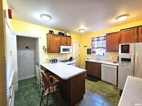 Tiny photo for 115 E COURT Street, Cambridge, IL 61238 (MLS # QC4269708)