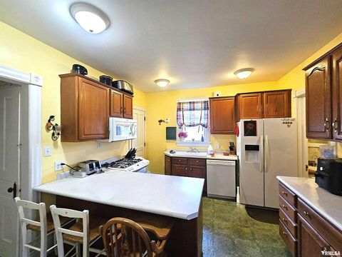 Tiny photo for 115 E COURT Street, Cambridge, IL 61238 (MLS # QC4269708)