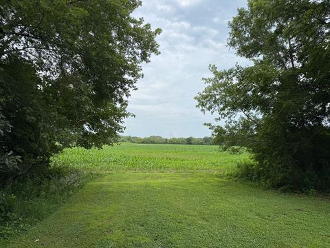 Tiny photo for 28542 S Walleye Lane, Wilmington, IL 60481 (MLS # 12700640)