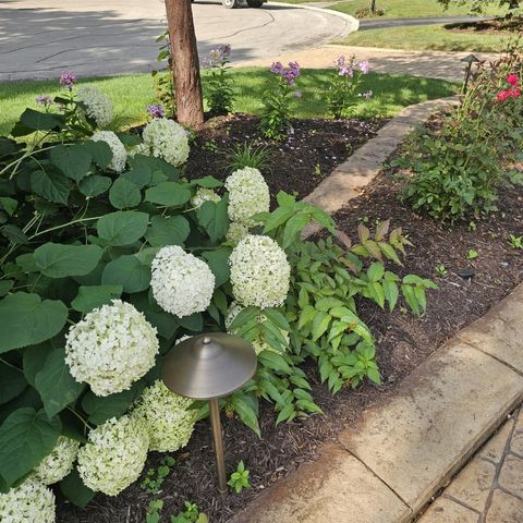 Tiny photo for 1417 Sherwood Lane, Geneva, IL 60134 (MLS # 12471839)