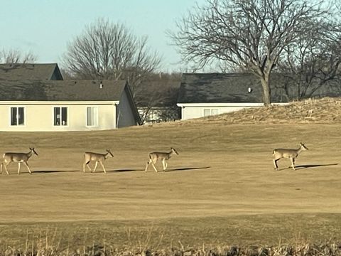 Tiny photo for 21521 W Juniper Court, Plainfield, IL 60544 (MLS # 12533056)