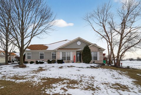 Tiny photo for 21521 W Juniper Court, Plainfield, IL 60544 (MLS # 12533056)