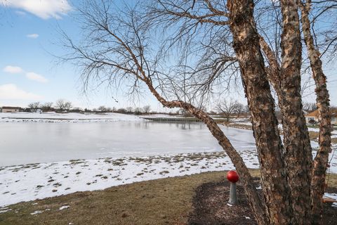 Tiny photo for 21521 W Juniper Court, Plainfield, IL 60544 (MLS # 12533056)