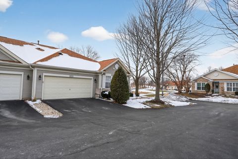 Tiny photo for 21521 W Juniper Court, Plainfield, IL 60544 (MLS # 12533056)