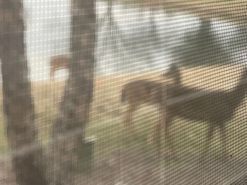 Tiny photo for 21521 W Juniper Court, Plainfield, IL 60544 (MLS # 12533056)