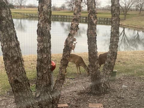 Tiny photo for 21521 W Juniper Court, Plainfield, IL 60544 (MLS # 12533056)