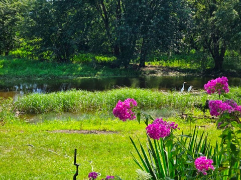 Tiny photo for 31525 71st Street, Wheatland, WI 53168 (MLS # 12722921)