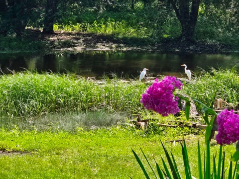 Tiny photo for 31525 71st Street, Wheatland, WI 53168 (MLS # 12722921)
