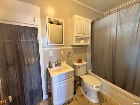 Tiny photo for 202 W APPLE Street, Maquoketa, IA 52060 (MLS # QC4269181)