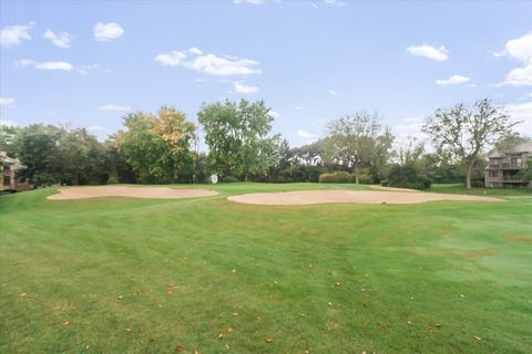 Tiny photo for 928 LONGMEADOW Court #1016, Barrington, IL 60010 (MLS # 12495870)