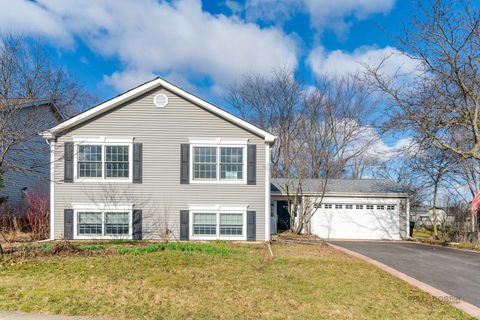 765 Old Mill Grove Road Lake Zurich IL 60047