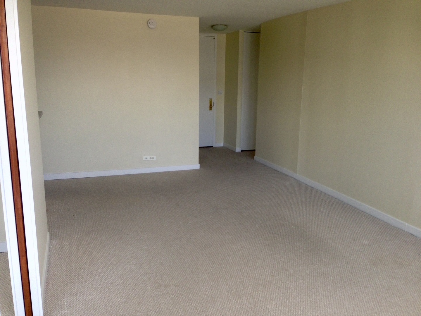 655 W Irving Park Road 1306