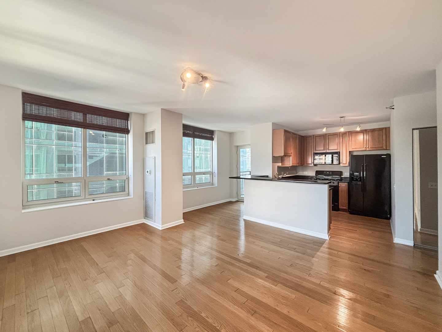 1111 S Wabash Avenue 1805