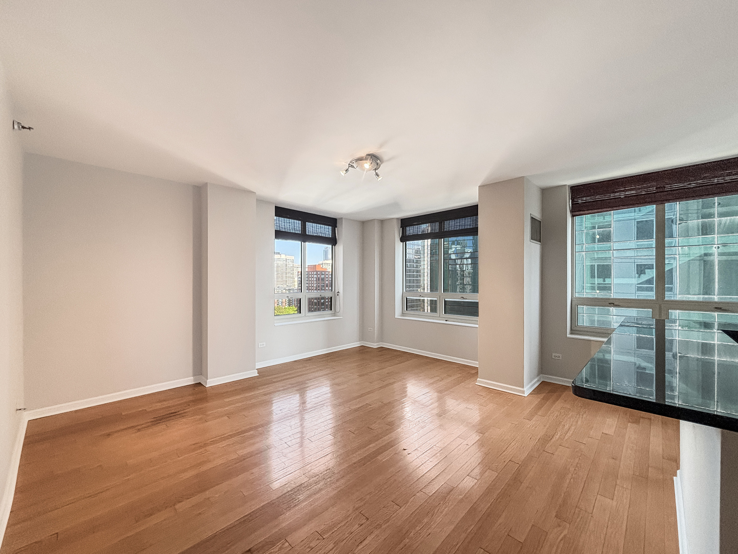 1111 S Wabash Avenue 1805