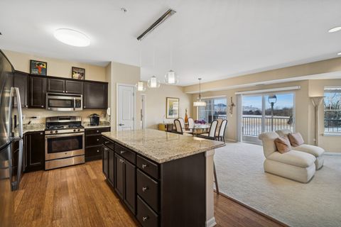 2220 Founders Drive 107 Northbrook IL 60062