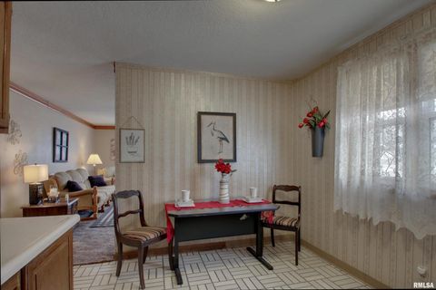 Tiny photo for 523 TEMPLE Street, Quincy, IL 62305 (MLS # QC4269964)